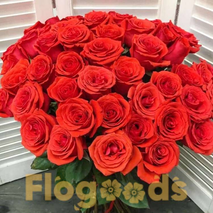 51 красная роза за 19 620 руб.